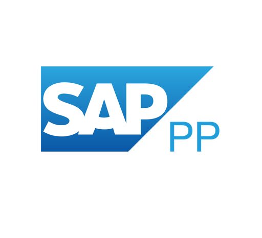 SAP PP Danışmanlık Eğitimi